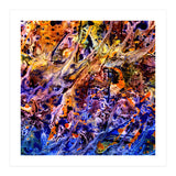 Avalon  (Print Only) thumbnail