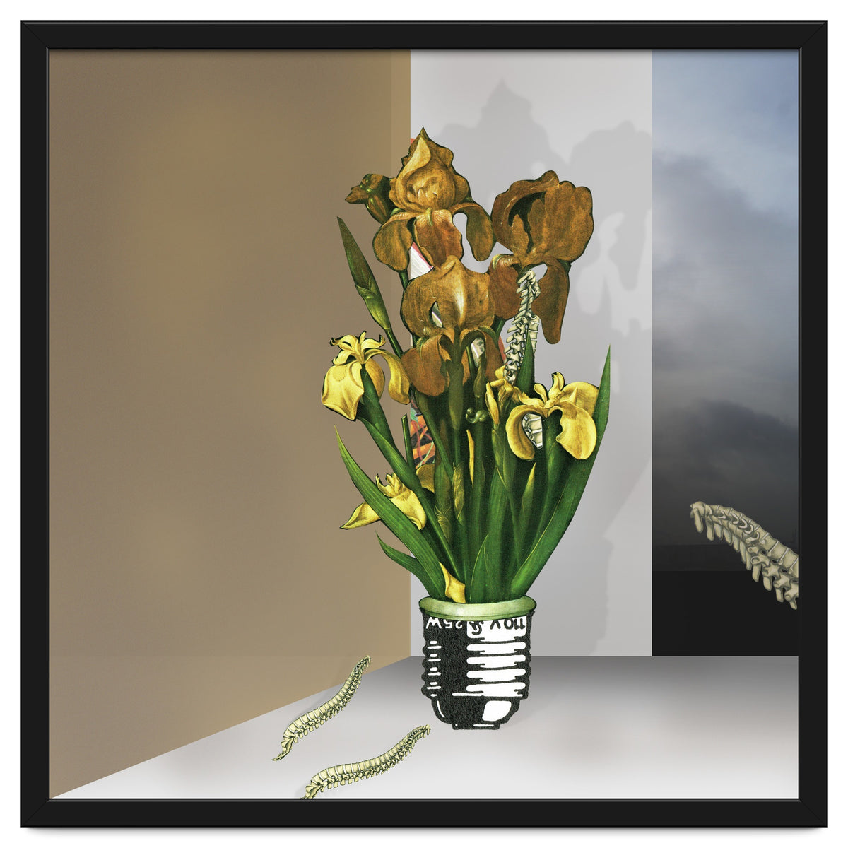 Das Licht Der Pflanze