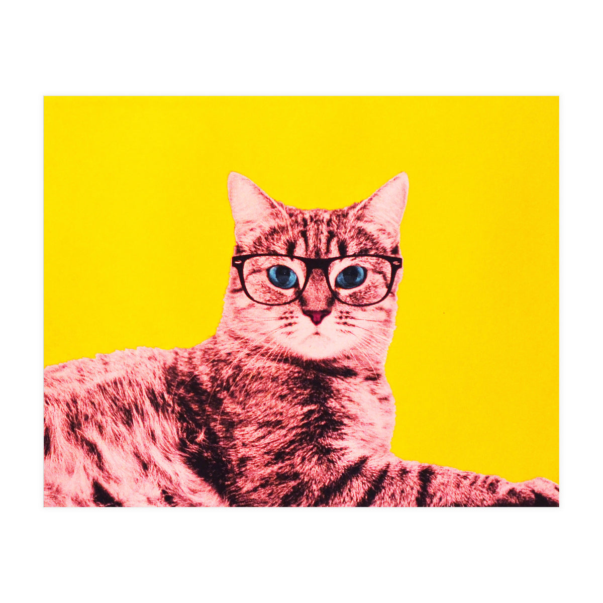 Life In Technicolor (Print Only)