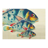 Fish Classic Designs 3 (Print Only) thumbnail