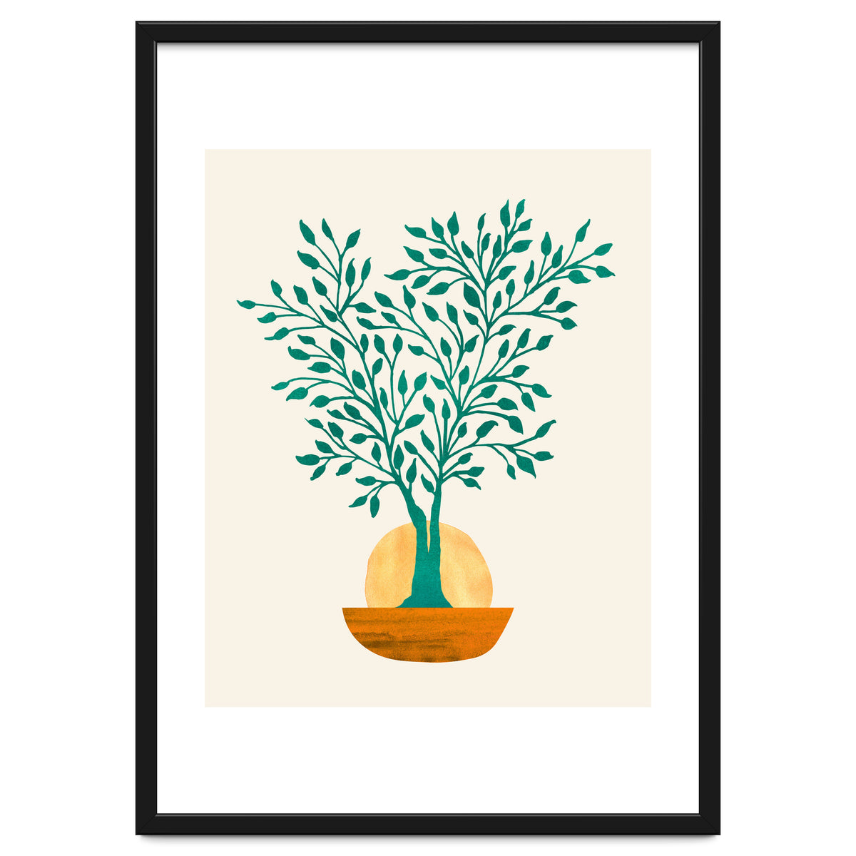 Emerald Ficus Sunset