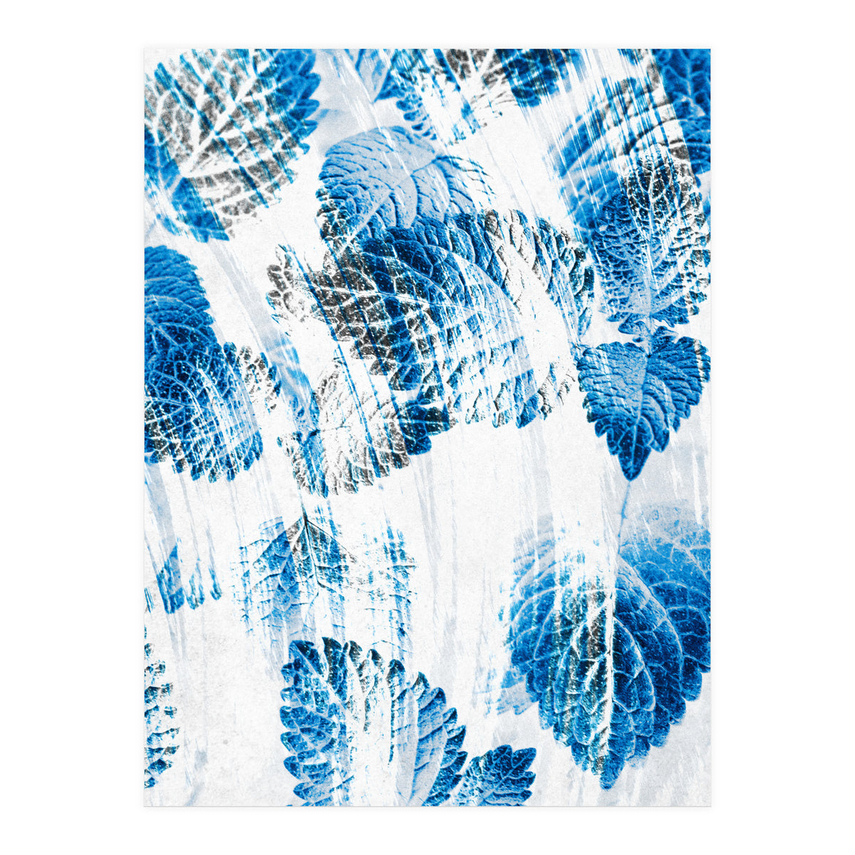 Raining Forest No5 (Print Only)