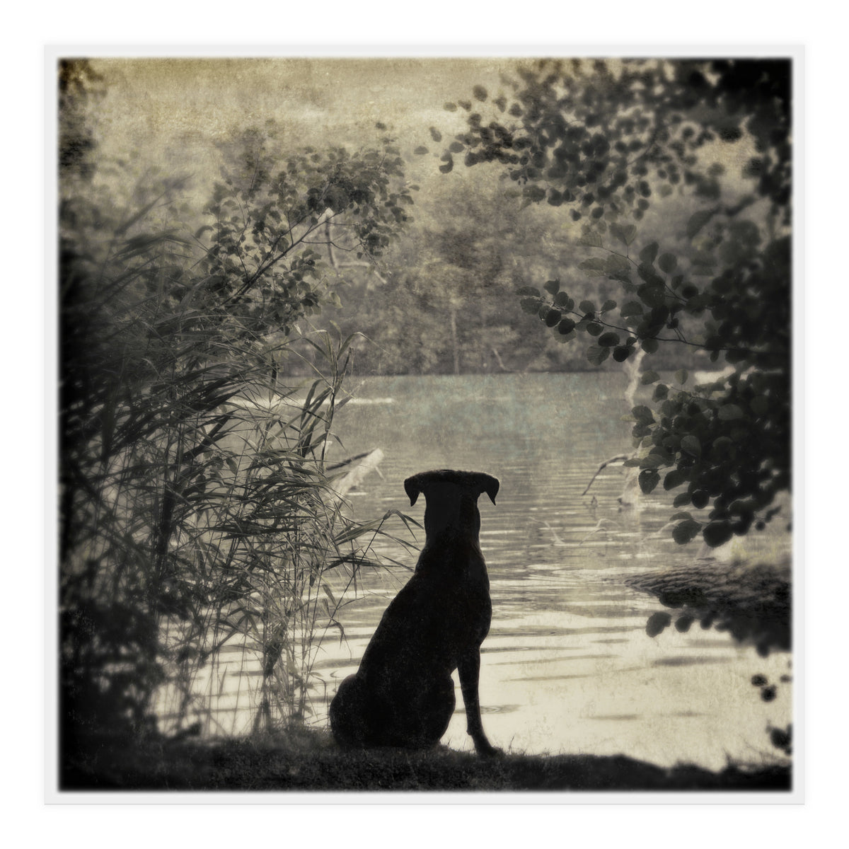 Waiting for you (Print Only)