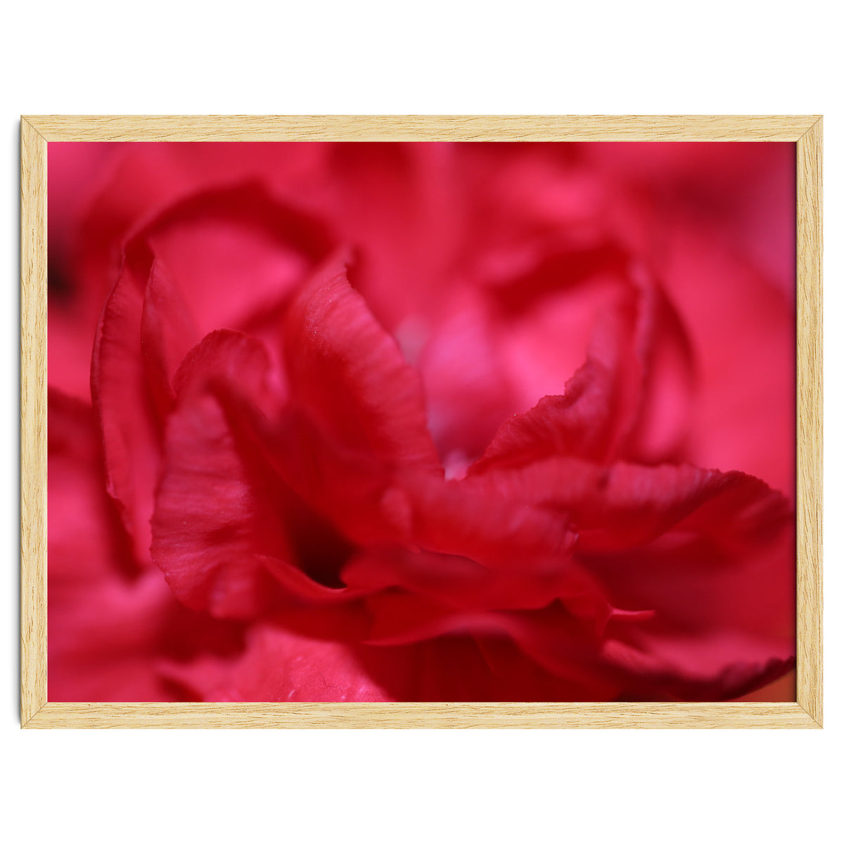 Red Peony