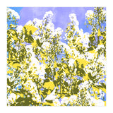 The Contrast Of Desire (Print Only) thumbnail