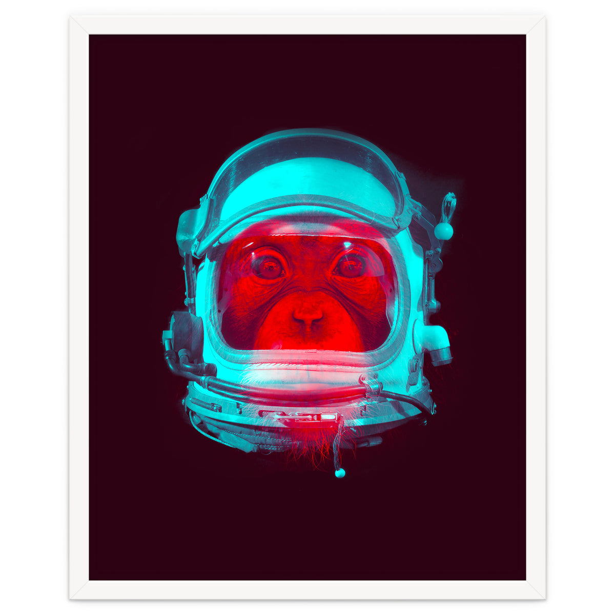 Astronaut