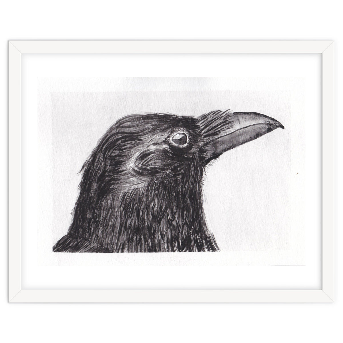 Crow