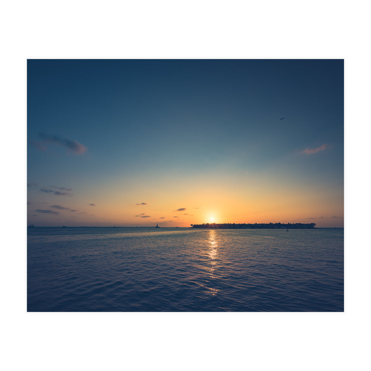 B'dazzled Blue (Print Only)