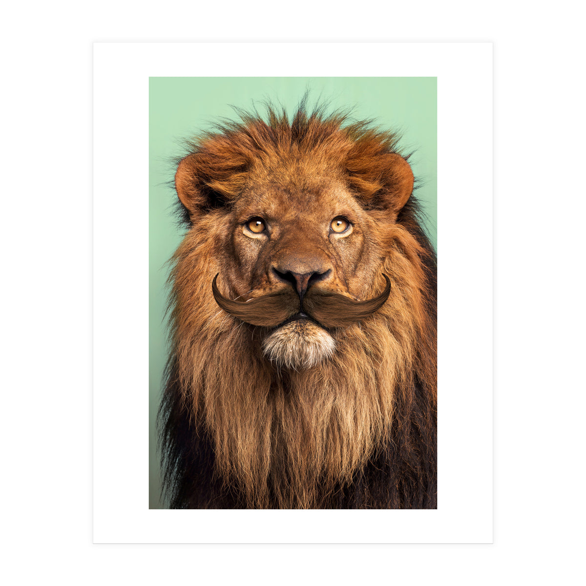 Bearded Lion (Print Only)