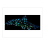 Barbel Fish (Print Only) thumbnail