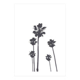 Palms & Sunset-Minimal B&W 2 (Print Only) thumbnail