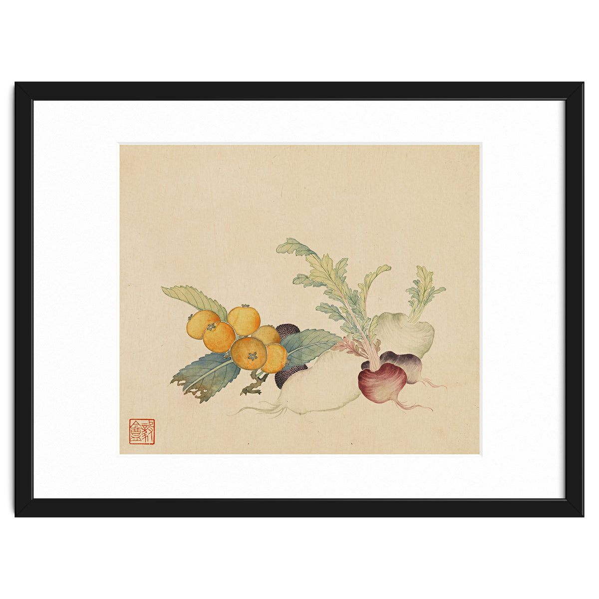 Wang Chengpi~flowers And Vegetables, Vegetables, Fruits, Loquat, White Radish, Carrot, Radish