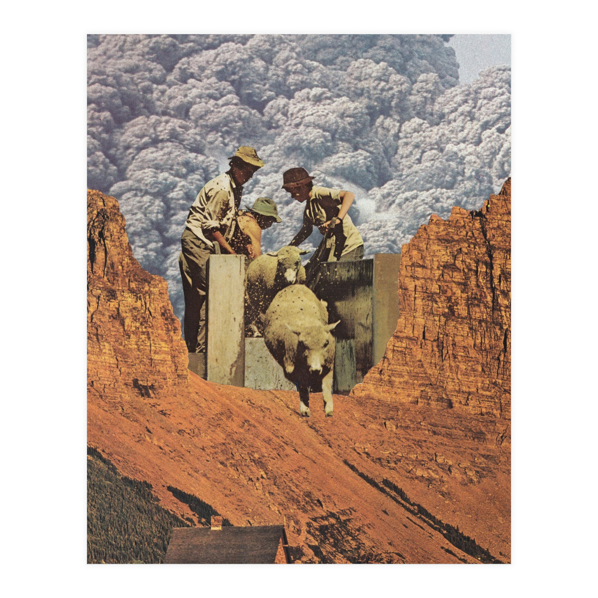 Dirty Sheep (Print Only)