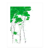 Birch forest (Print Only)