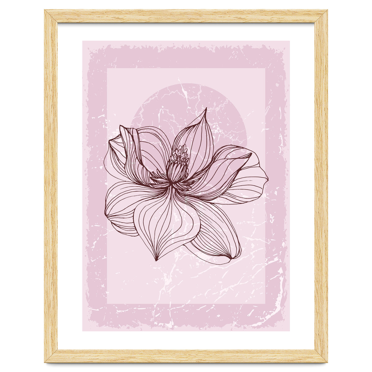 Modern Magnolia flower nature