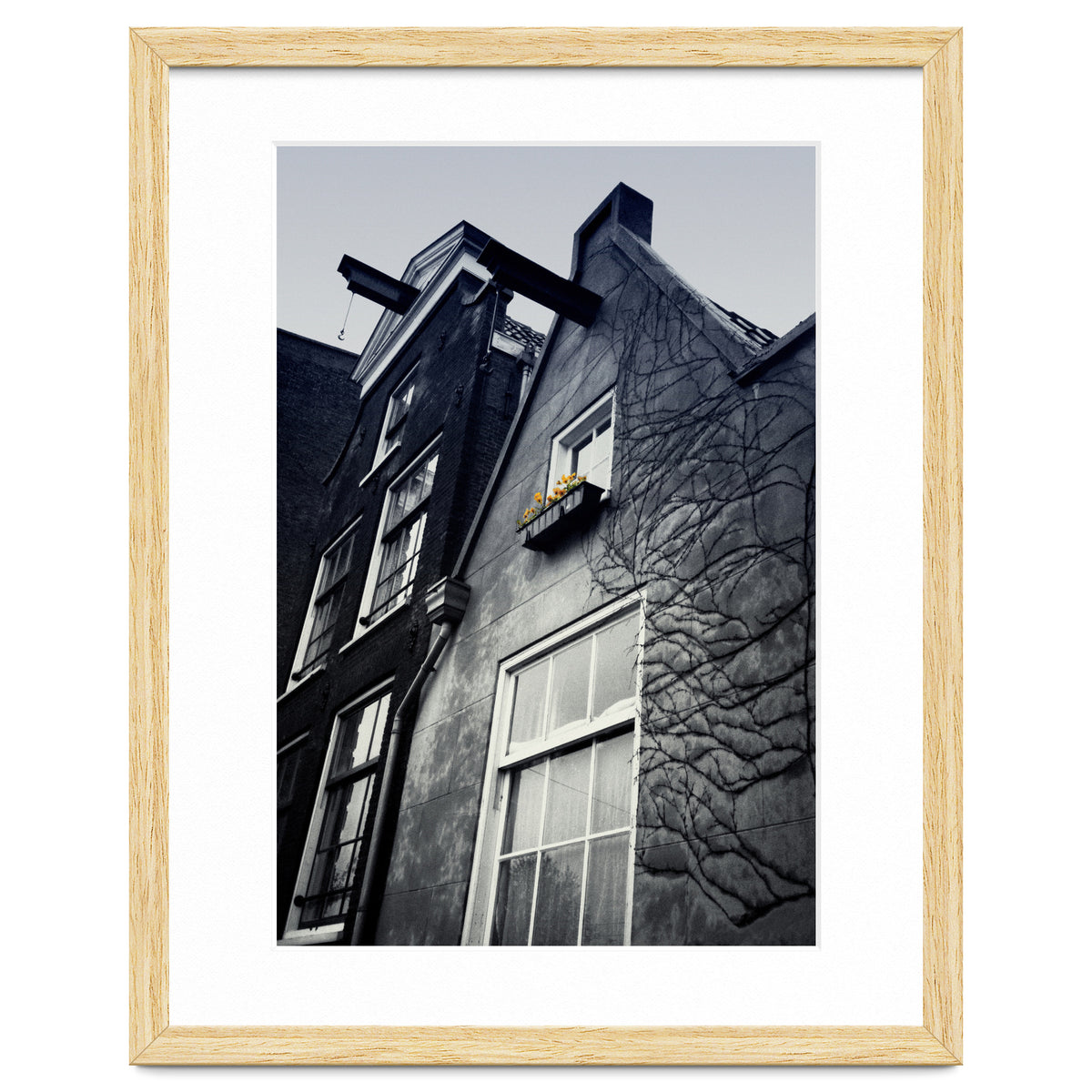 Amsterdam. House With Yellow Flowers.