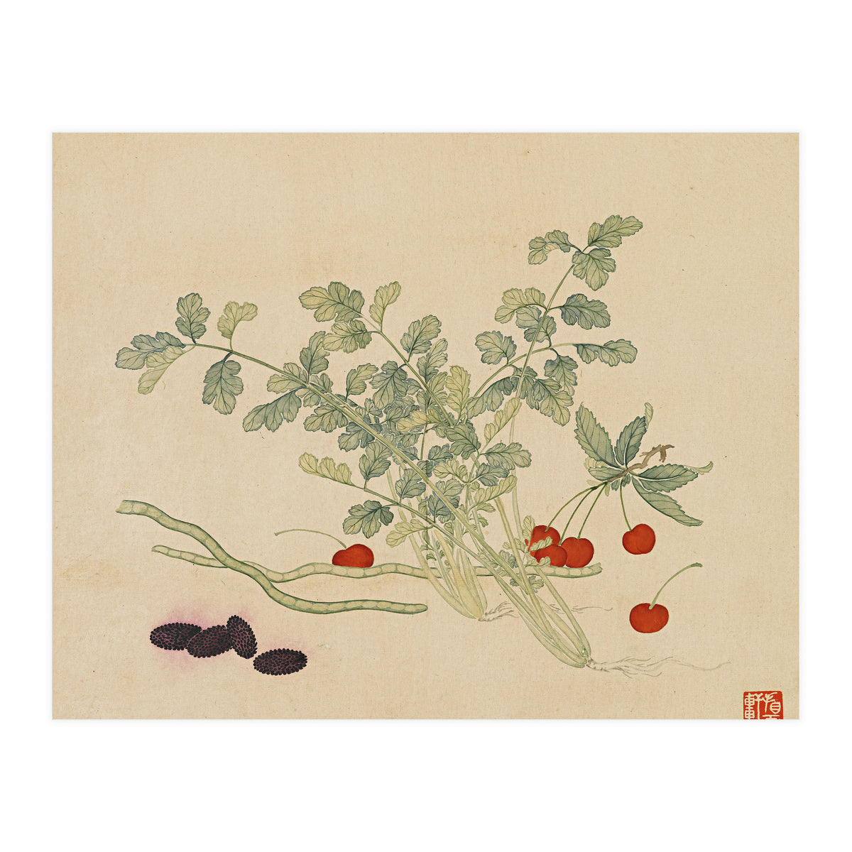 Wang Chengyu~flowers And Vegetables, Vegetables, Fruits, Beans, Red Beans, Cherries, Celery (Print Only)