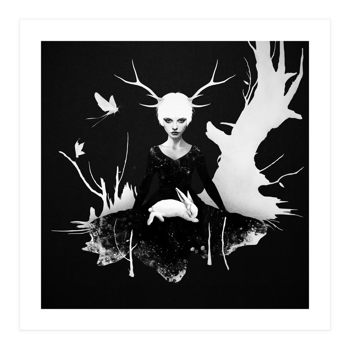 Space Within (Print Only)