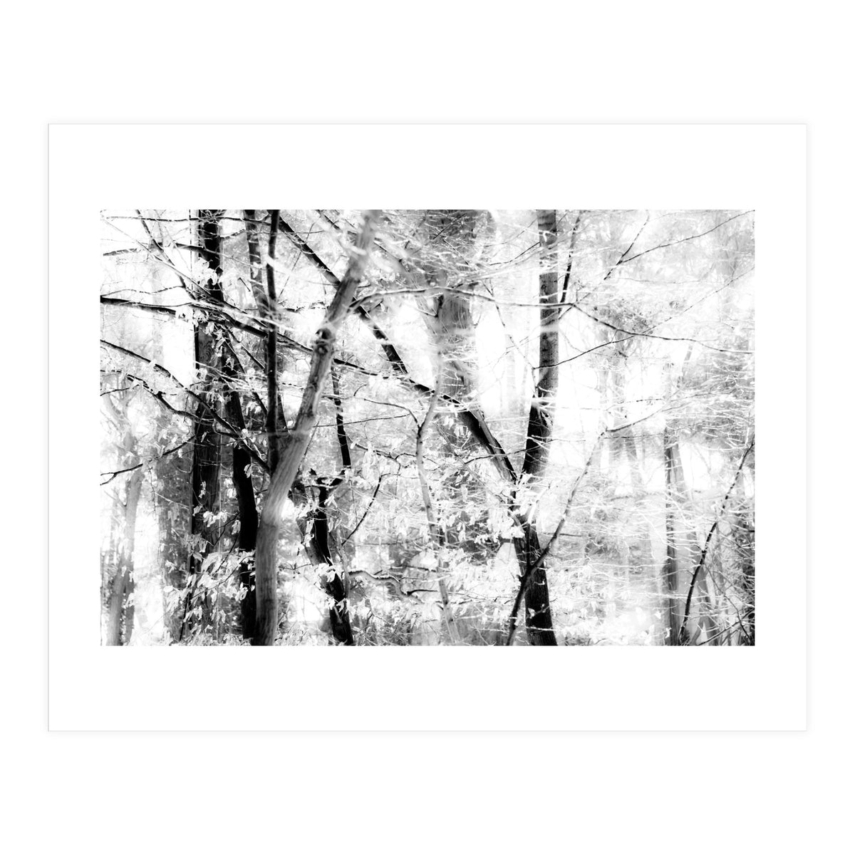 tree breeze (Print Only)