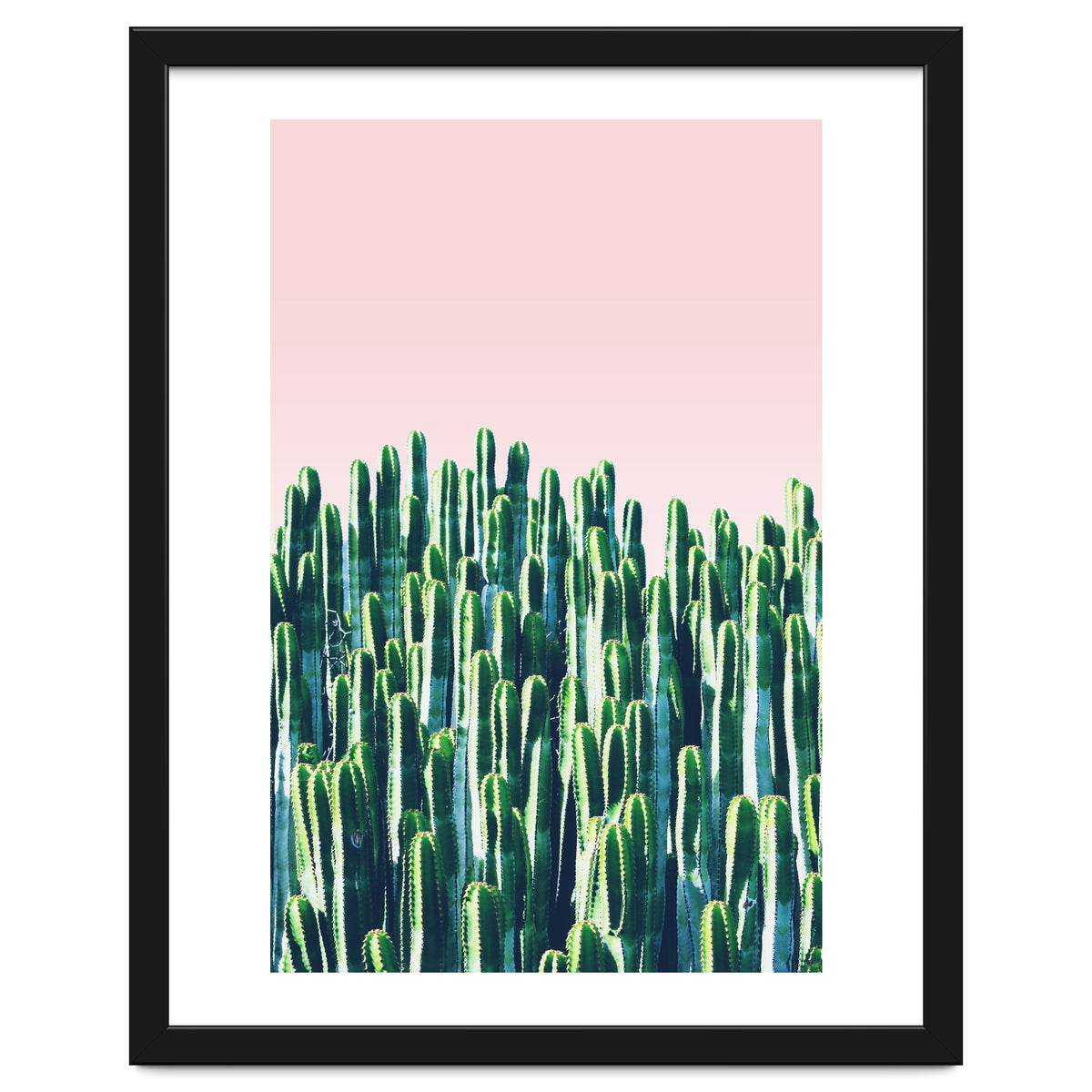Cactus & Sunset II