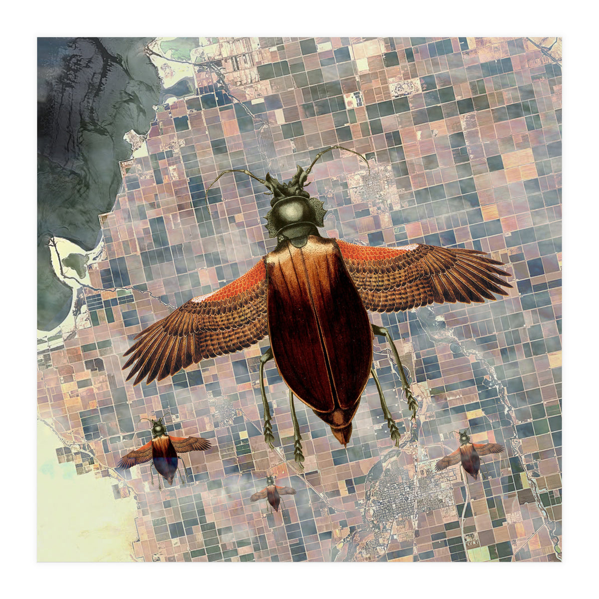 Flying High (Print Only)