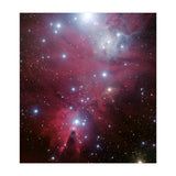 The Christmas Tree Cluster (Print Only) thumbnail