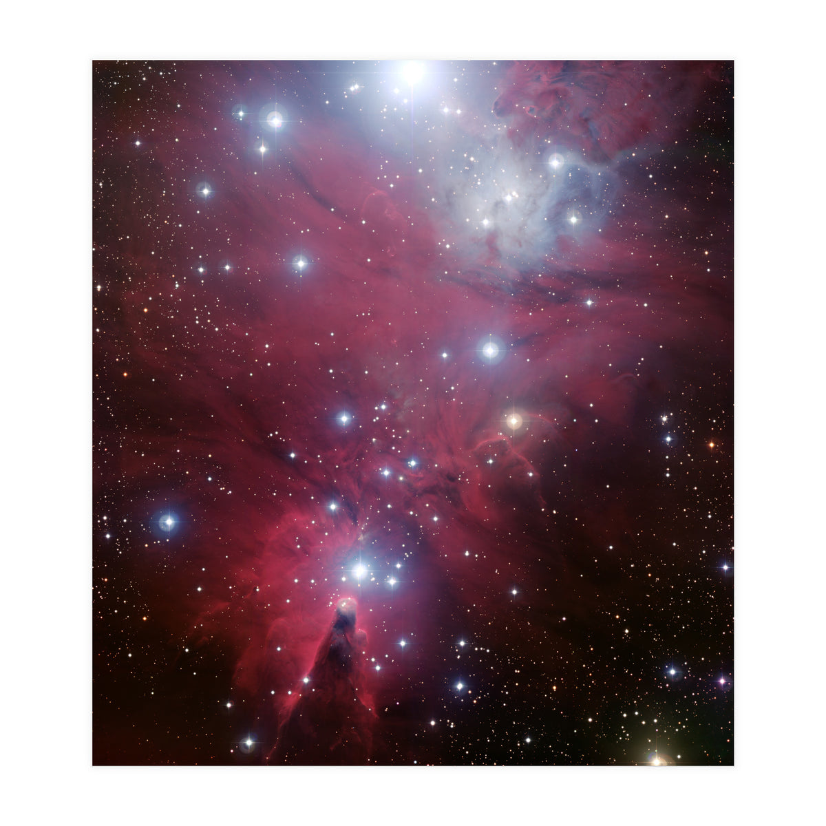 The Christmas Tree Cluster (Print Only)