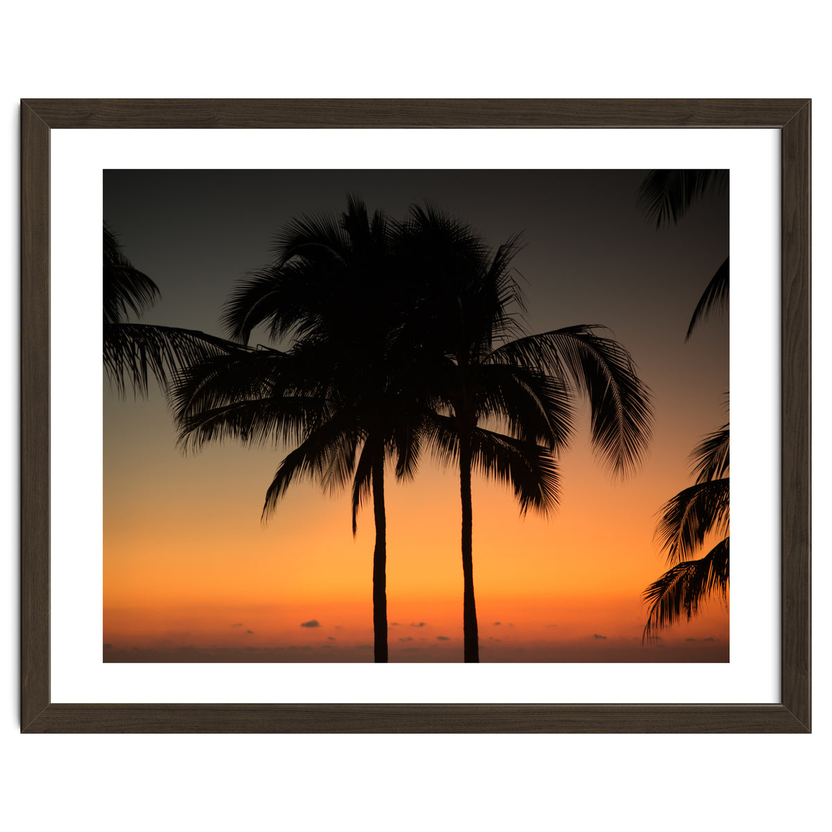 Mexico, November nights