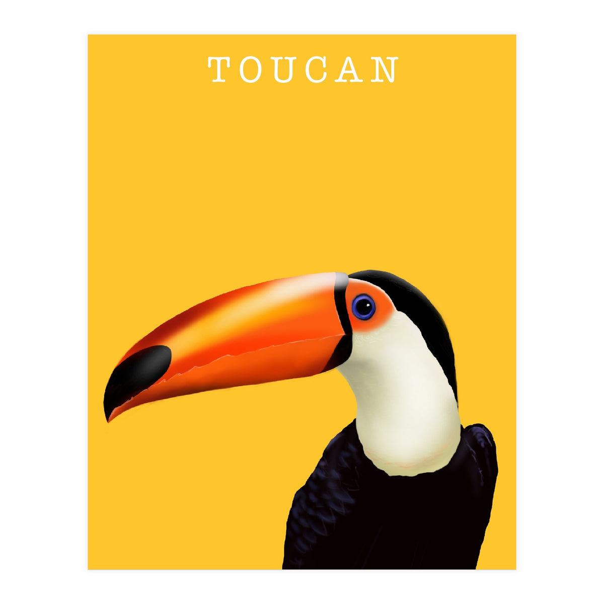 Toucan (Print Only)