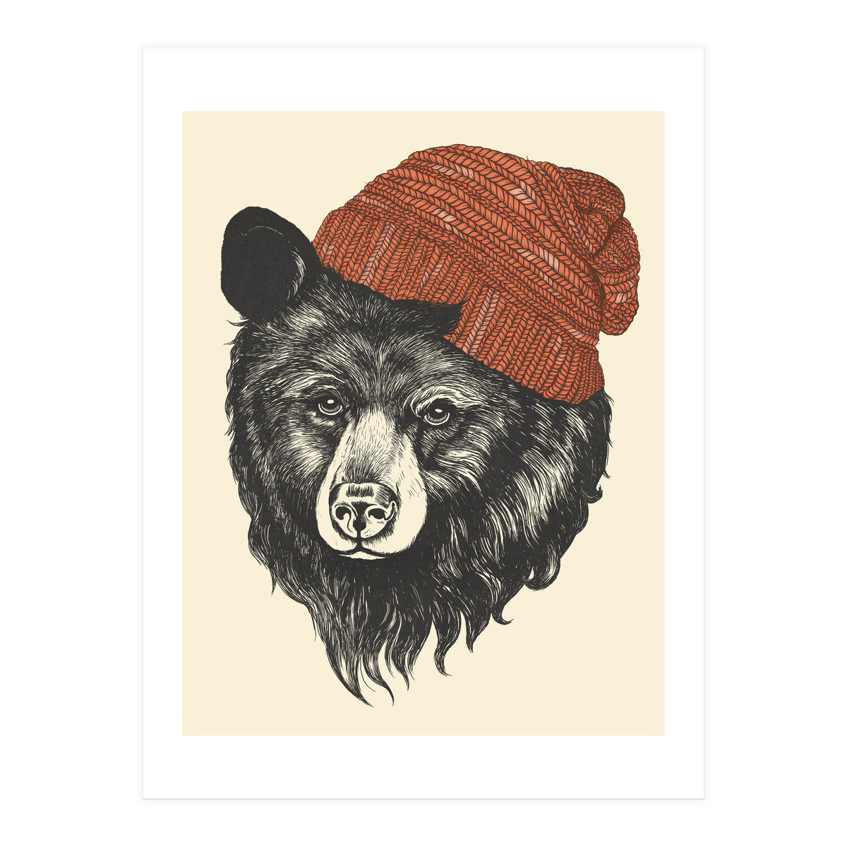 Zissou The Bear (Print Only)