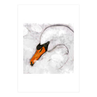 Mute swan (Print Only)