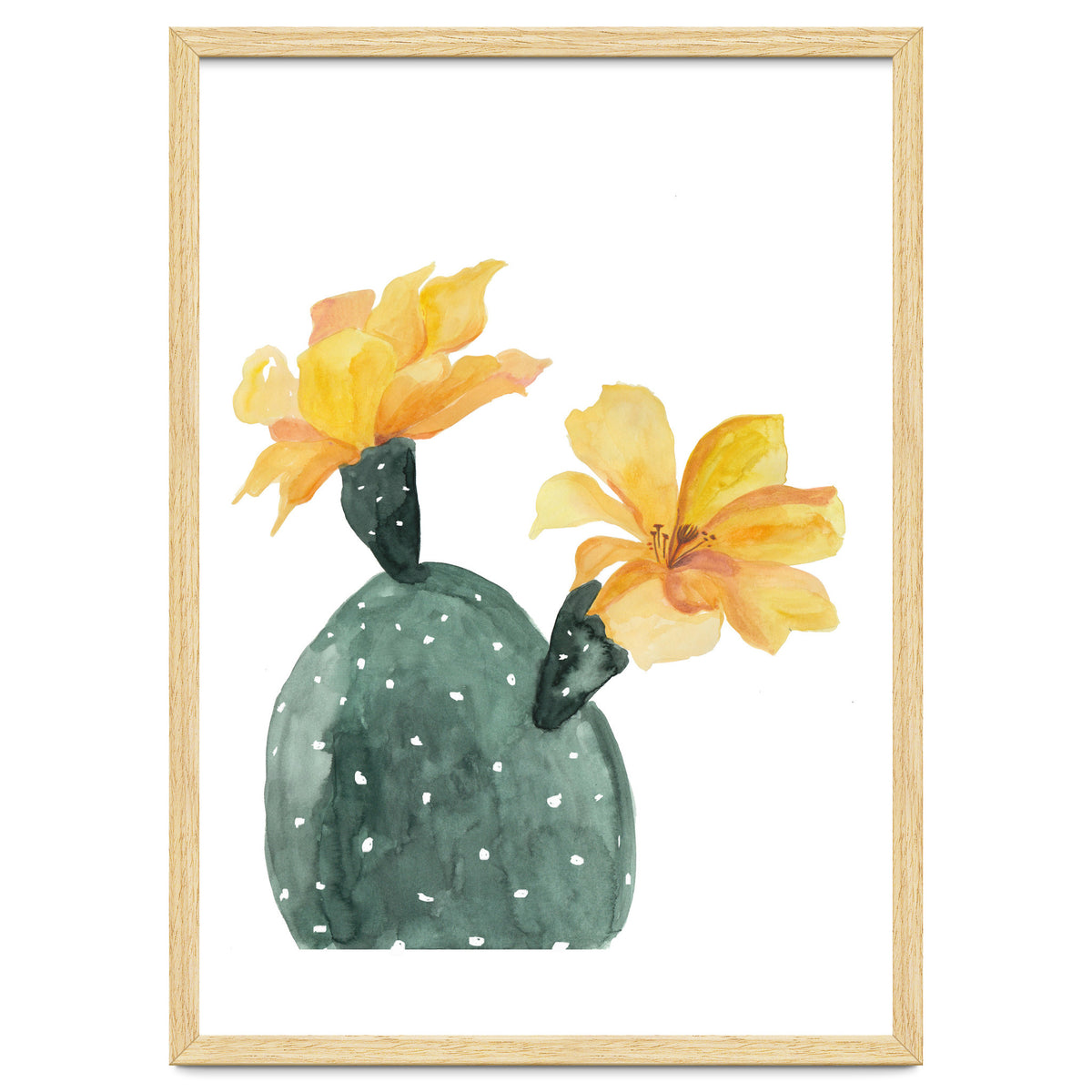 Botanical Illustration Yellow Cactus Flowers