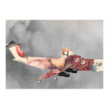 Was Kommt Nach Den Chemtrails (Print Only) thumbnail