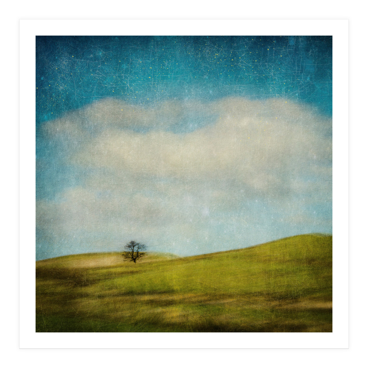 Strange Times (Print Only)