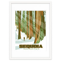 Sequoia National Park Poster