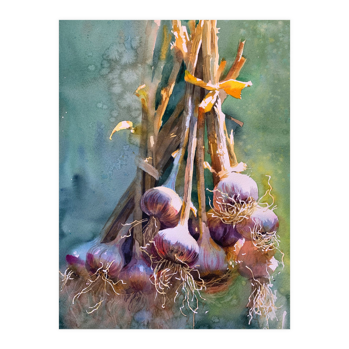 Still Life Garlic (Print Only)