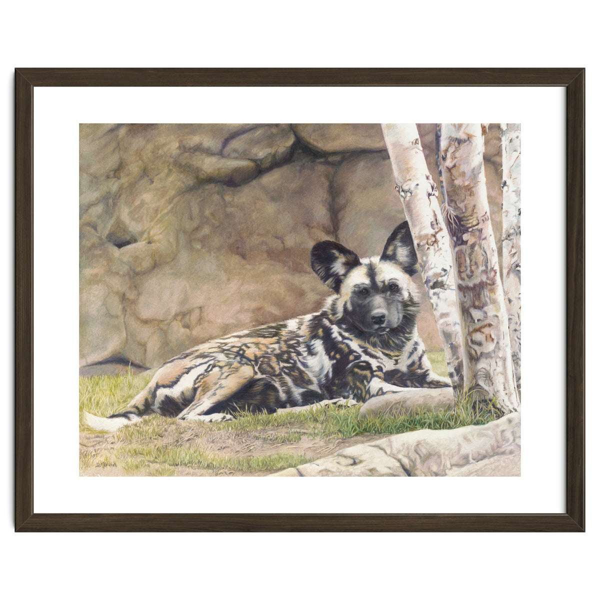 Afican Painted Dog IV - Imara
