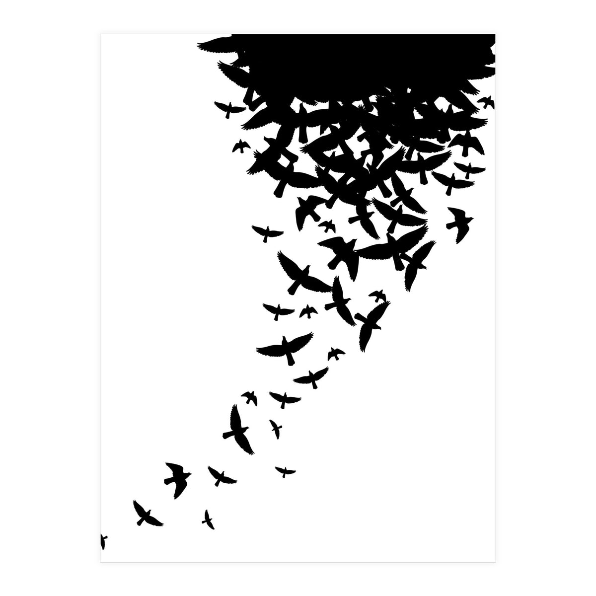 Birds Fly (Print Only)