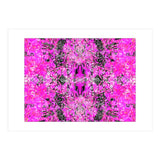 6 (Print Only) thumbnail