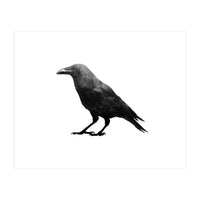 Crowscape (Print Only)