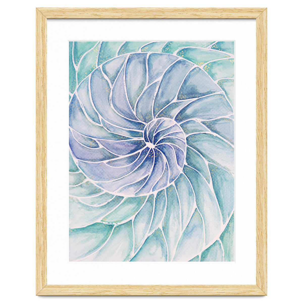 The inside of a shell