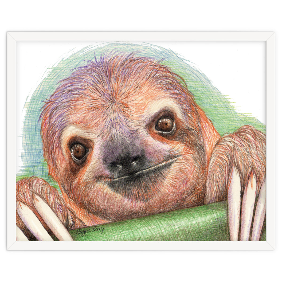 Smiling Sloth