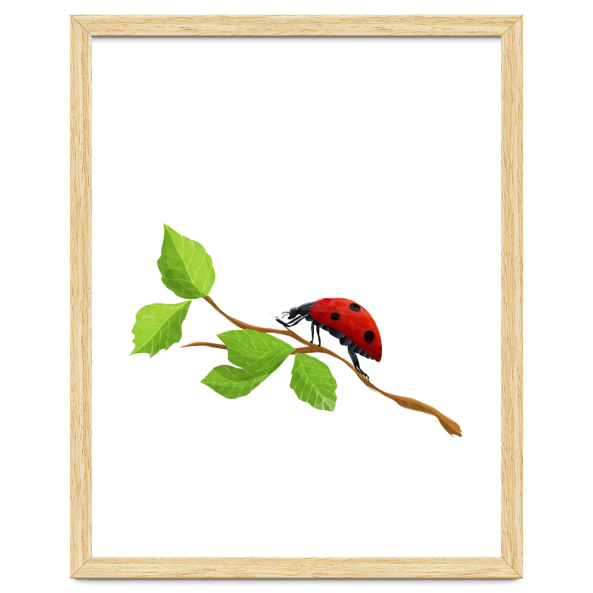 Ladybug