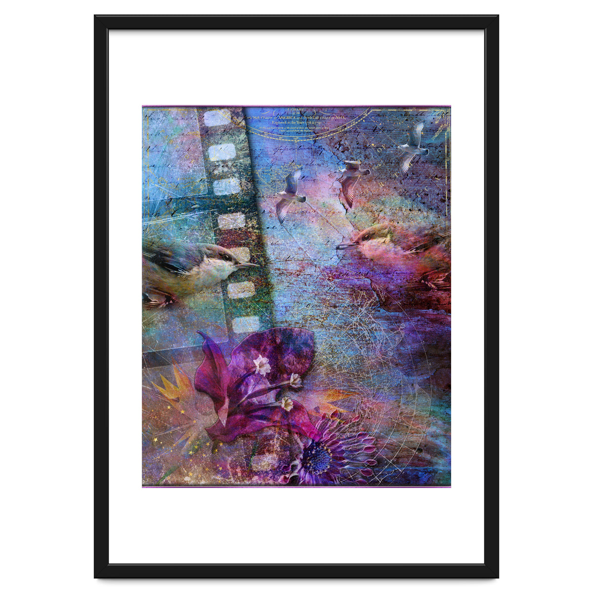 Watching the Wild World