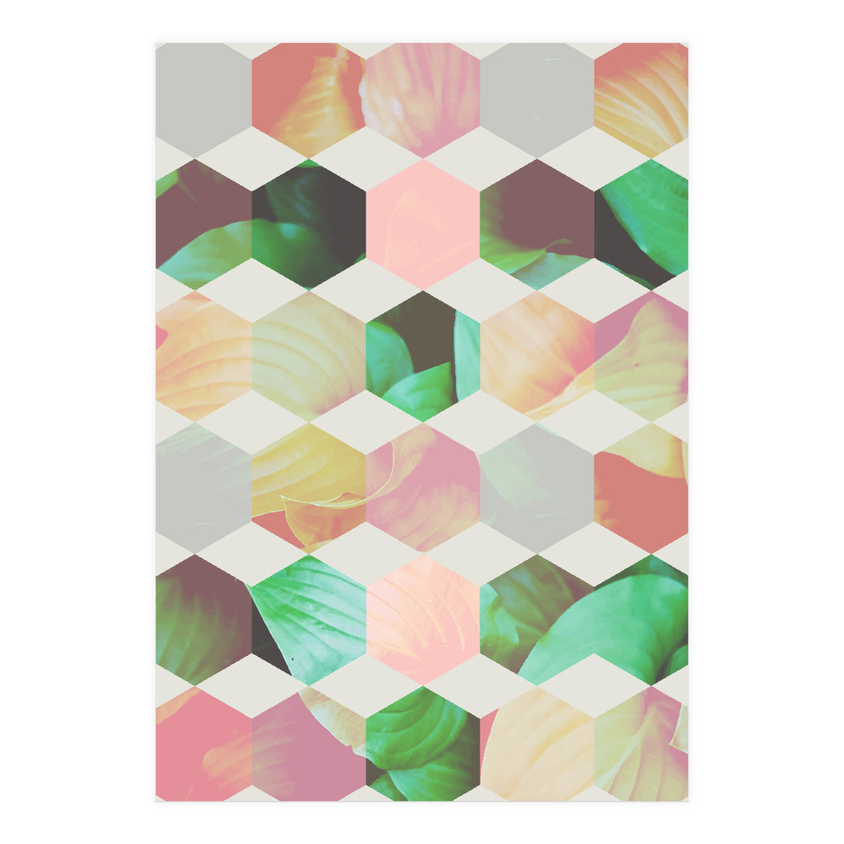 Epsilon (Print Only)