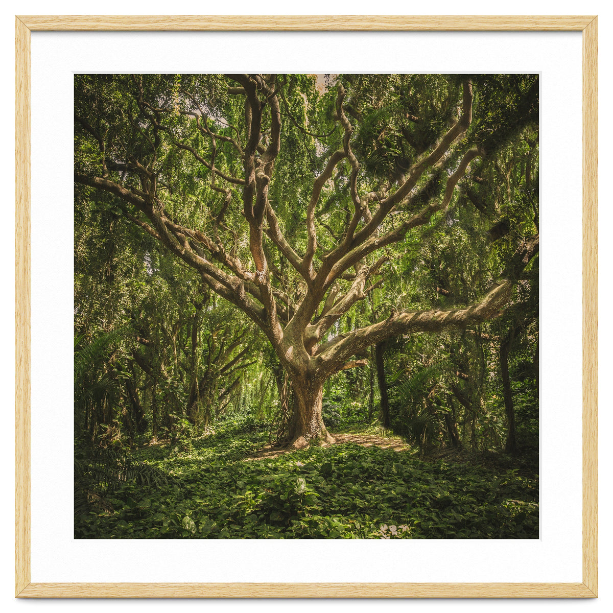 Spirits inside the wood