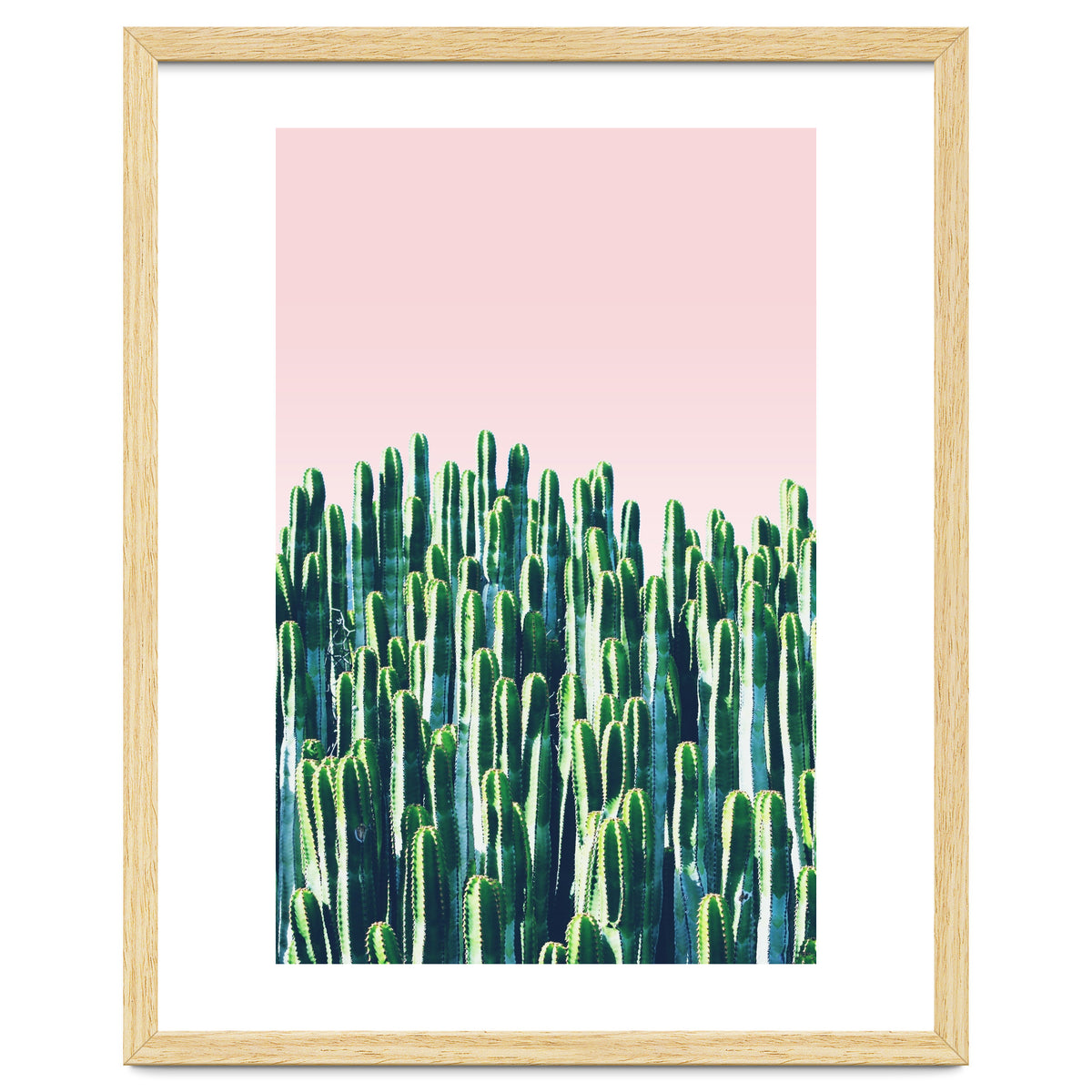 Cactus & Sunset II