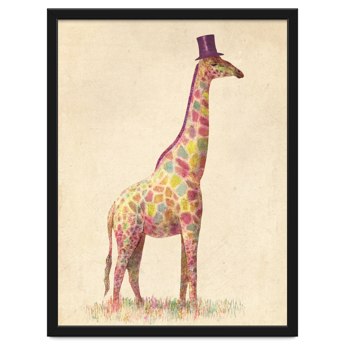 Fashionable Giraffe