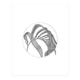 P.O. Blue Carbon (Print Only) thumbnail