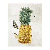 ananas (Print Only) thumbnail